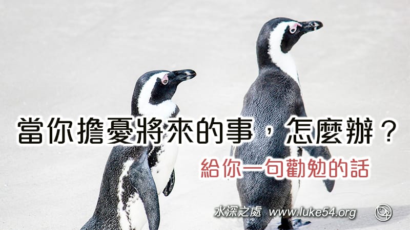 當你擔憂將來的事,怎麼辦?給你一句勸勉的話