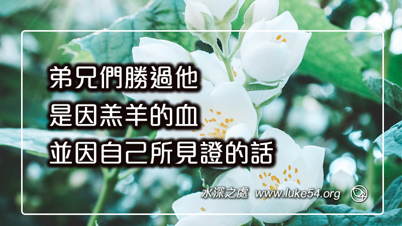 弟兄們勝過他，是因羔羊的血，並因自己所見證的話