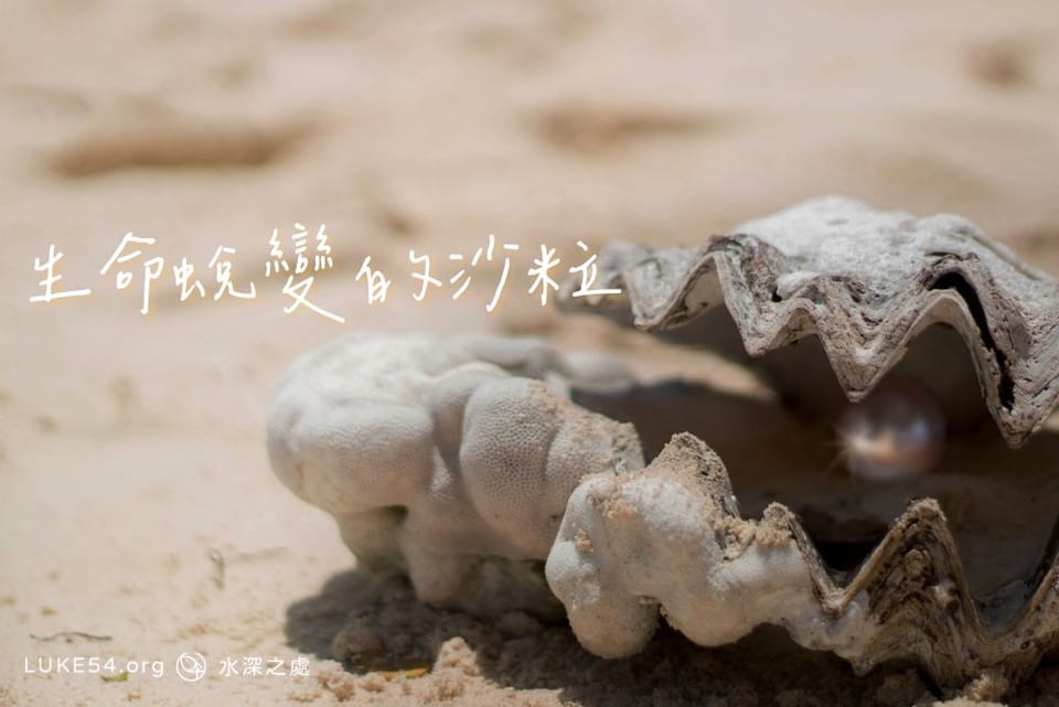 生命蛻變的沙粒
