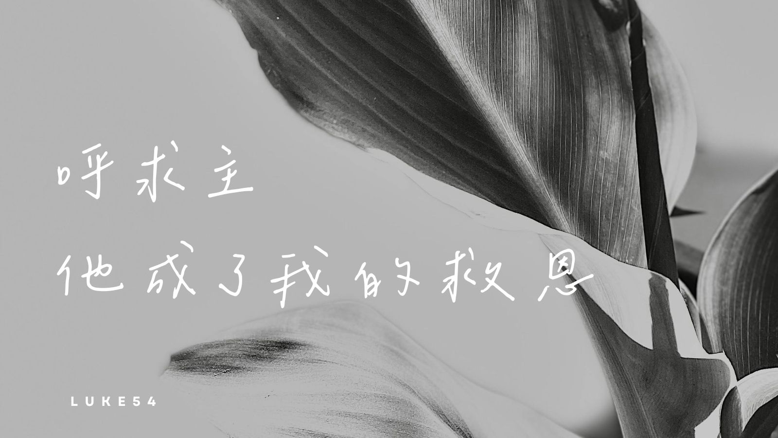 呼求主,他成了我的救恩