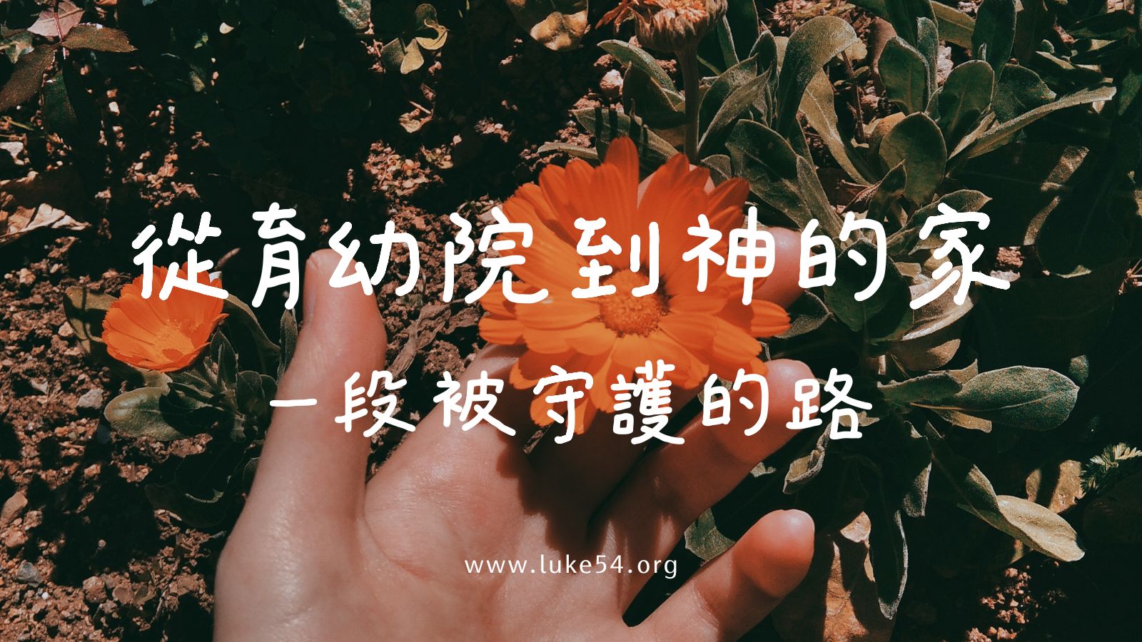 從育幼院到神的家：一段被守護的路