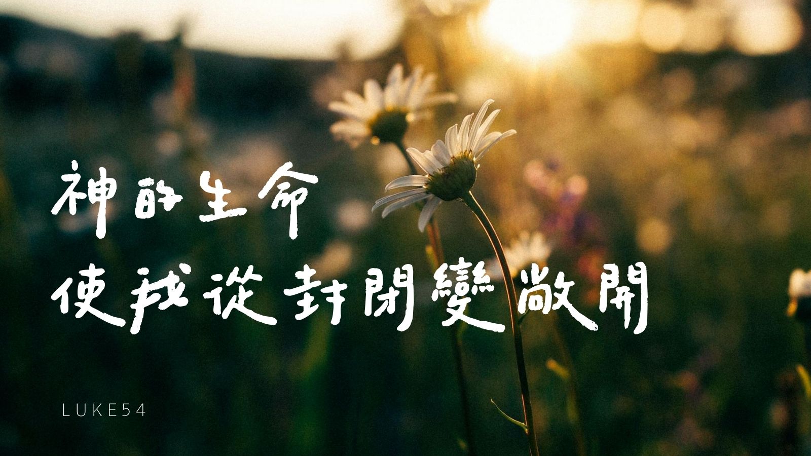 神的生命,使我從封閉變敞開。