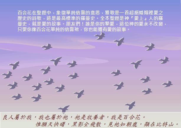 神與人的愛情故事