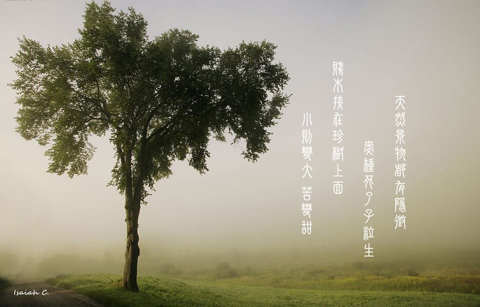【詩歌桌布】小則變大，苦變甜