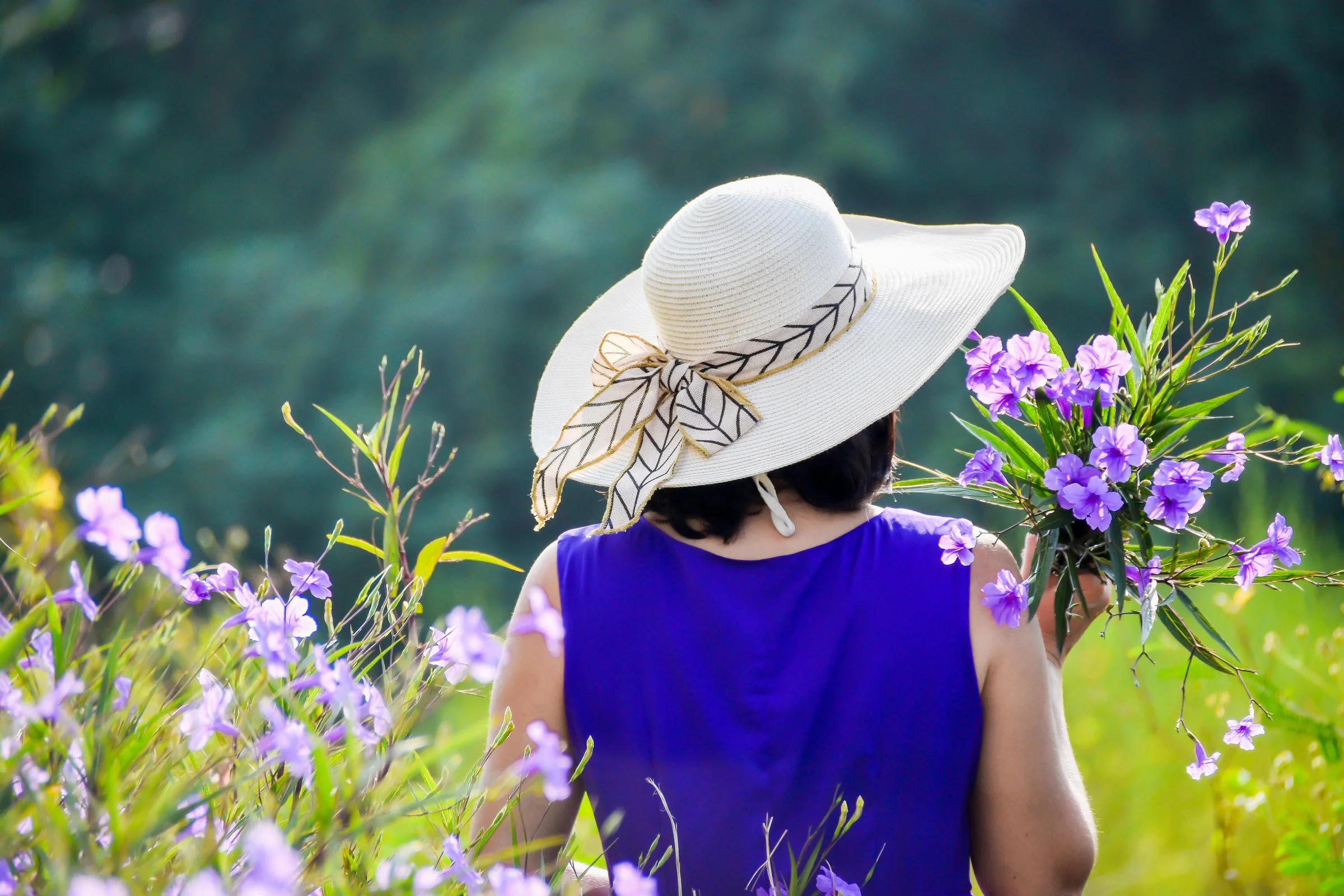 haphamcamera-purple-dress-5550473.webp