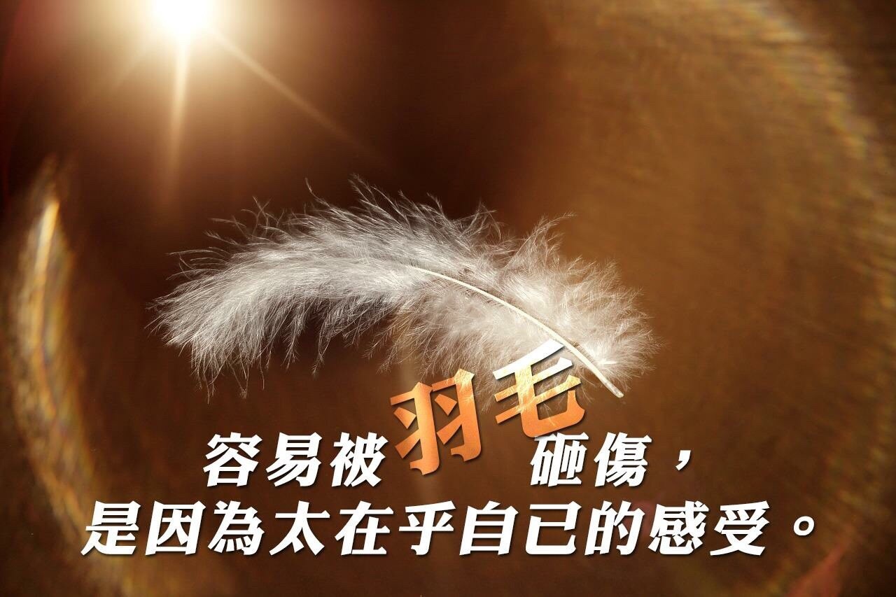 你是被羽毛砸傷的嗎？