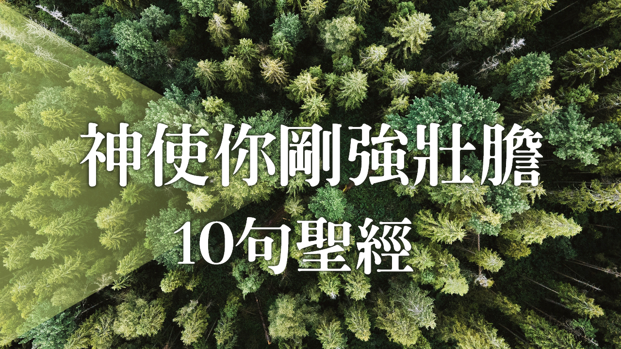 神使你剛強壯膽的十句聖經