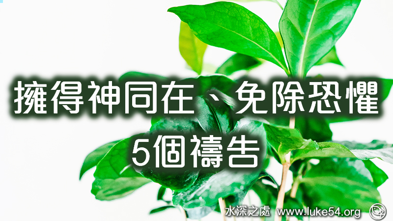 擁得神同在、免除恐懼的5個禱告