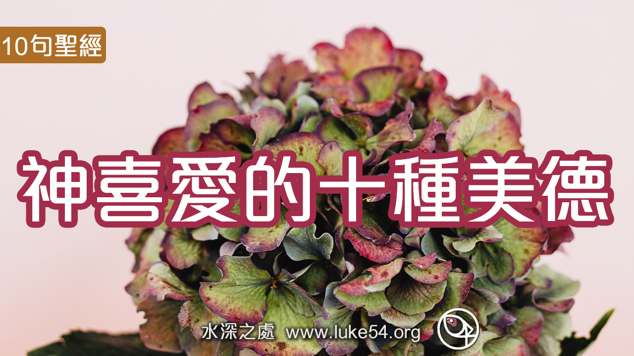 神喜愛的十種美德─10句聖經