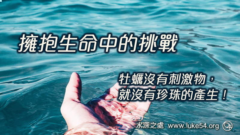 什麼是「鯰魚效應」？擁抱生命中的挑戰，牡蠣沒有刺激物，就沒有珍珠的產生！