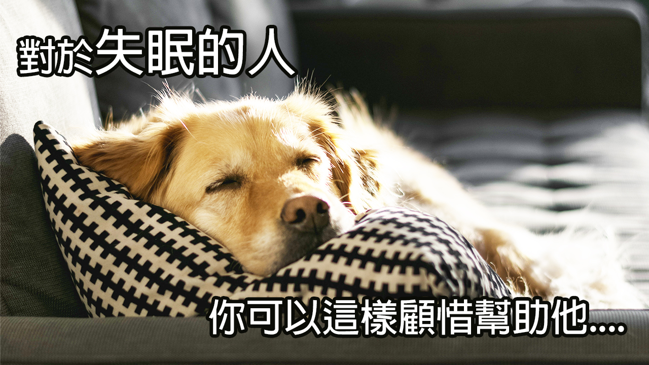 對於失眠的人，最好的回應是這樣的...