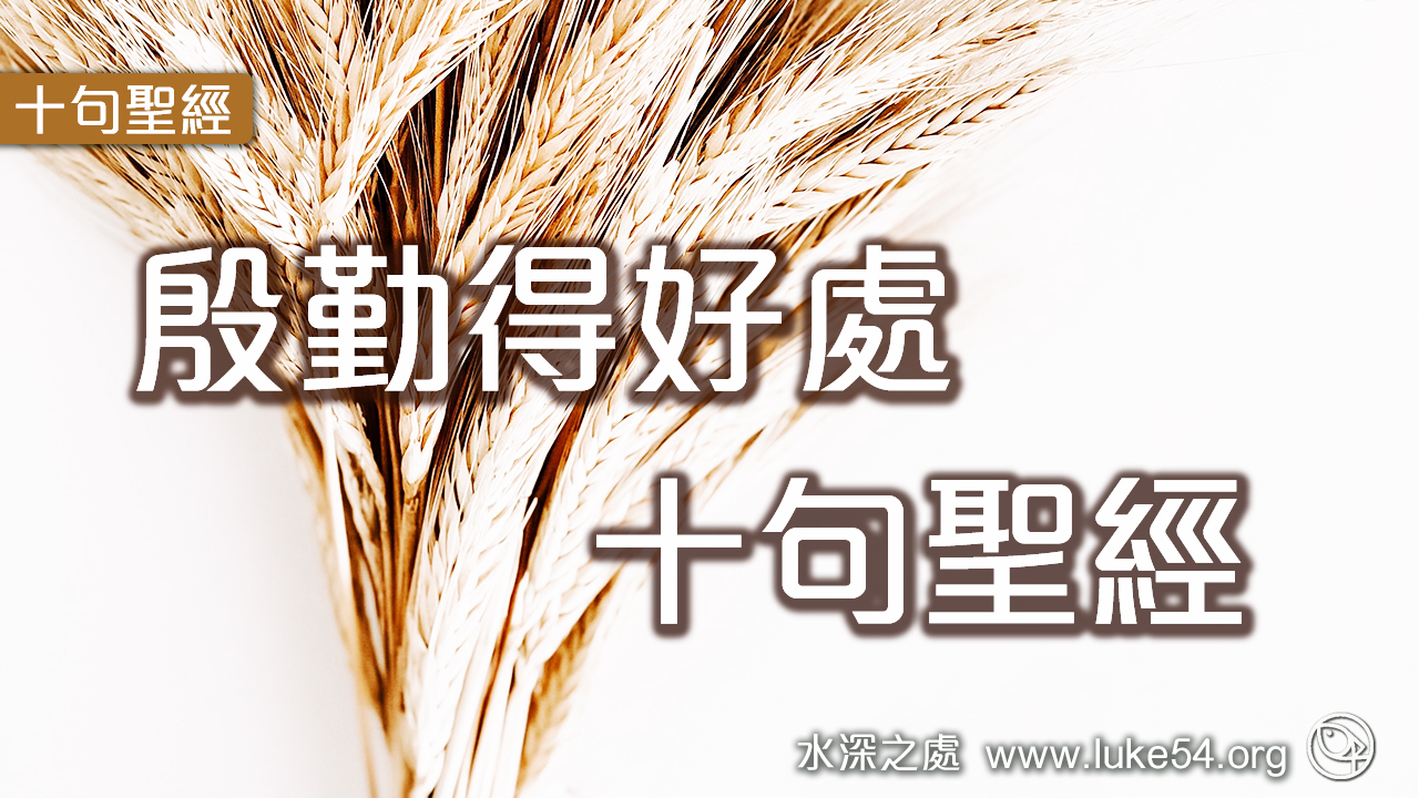 殷勤得好處的10句聖經
