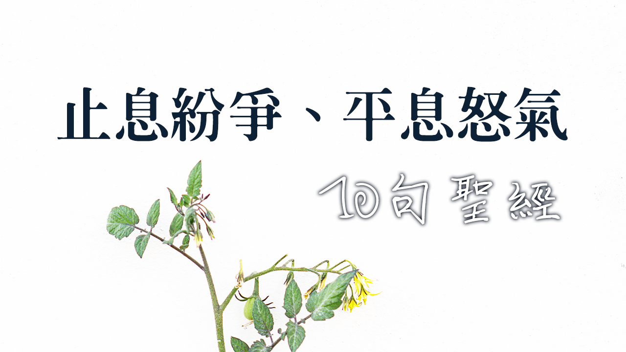 止息紛爭、平息怒氣的10句聖經