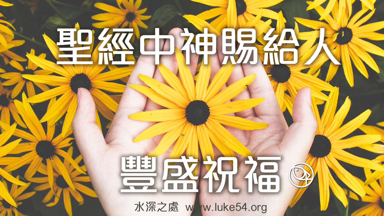 聖經中，神給人的豐盛祝福：在你手所辦的一切事上，賜福與你，使你作首不作尾，居上不居下
