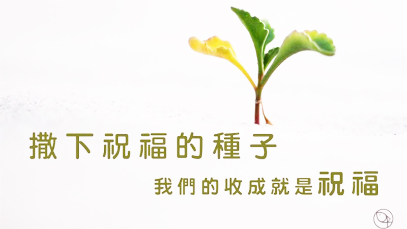 學習祝福，停止咒詛