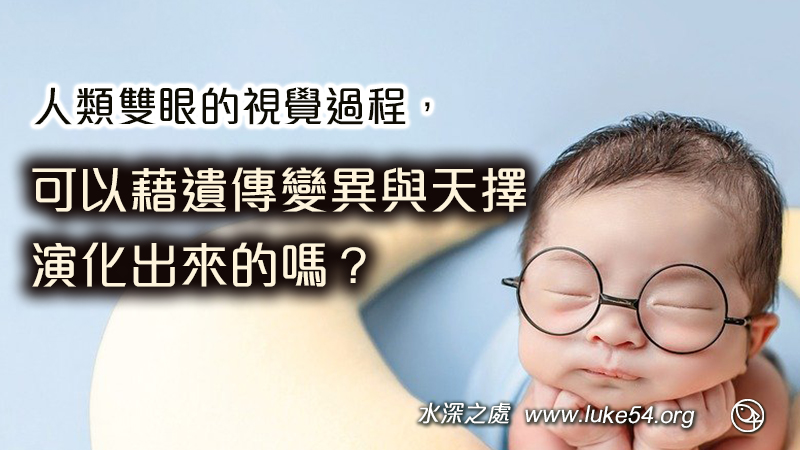 人類雙眼的視覺過程，可以藉遺傳變異與天擇，演化出來的嗎？視網膜驚人的10件事，說明『分子機器』不可能由進化產生