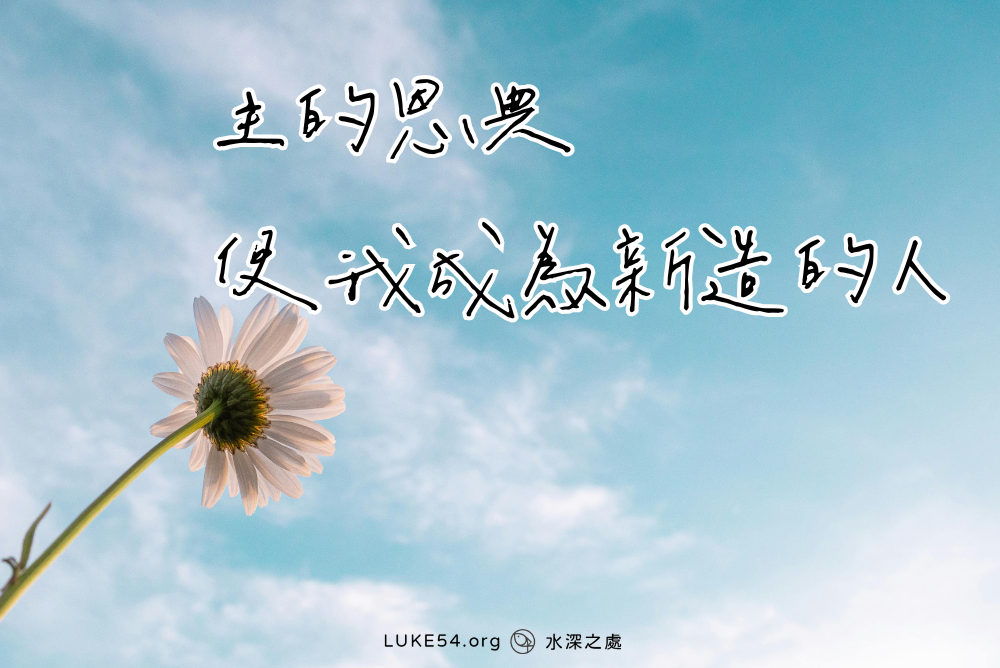 主的恩典，使我成為新造的人