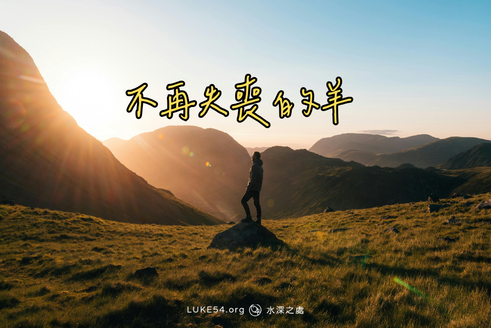不再失喪的羊