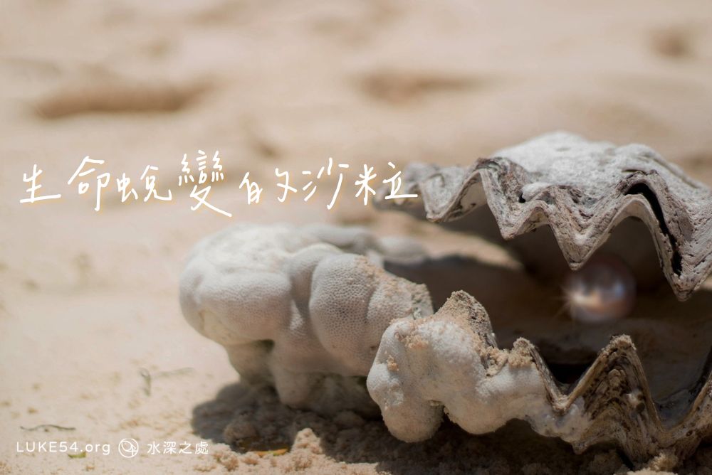 生命蛻變的沙粒