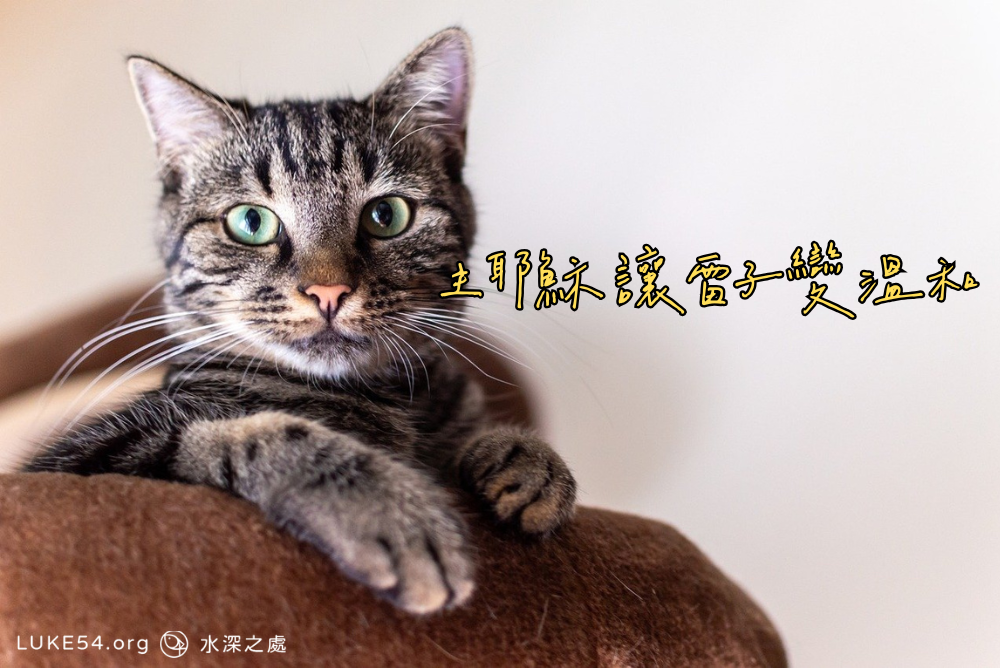 主耶穌讓雷子變溫和
