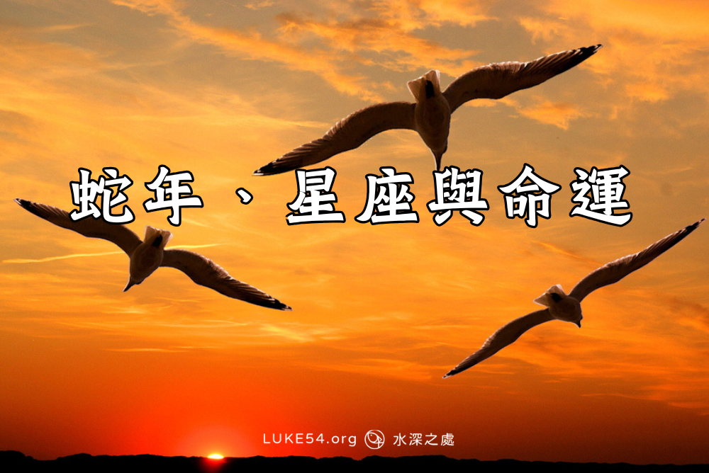 蛇年、星座與命運