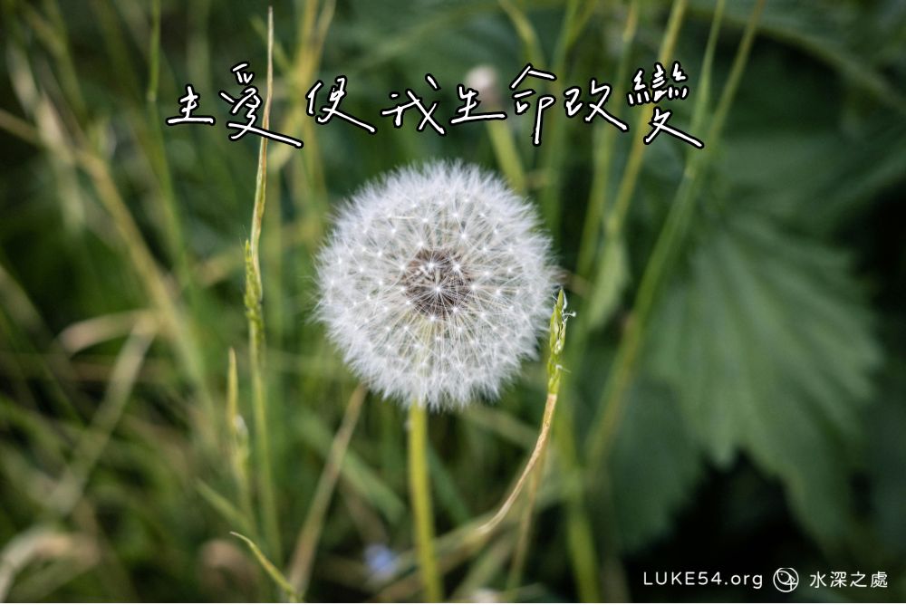 主愛使我生命改變