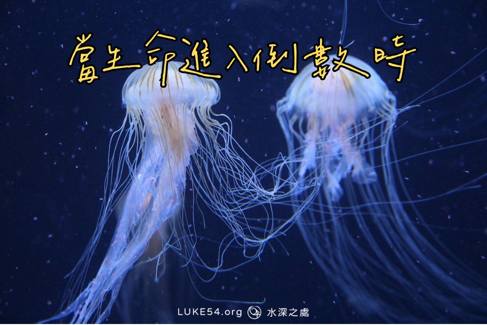 當生命進入倒數時