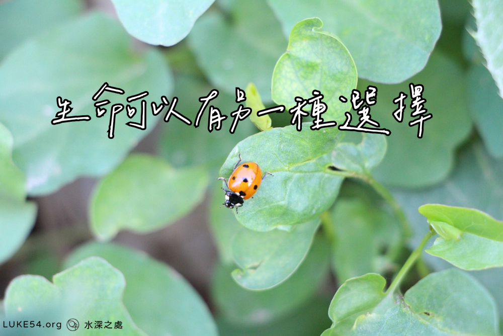 生命，可以有另一種選擇