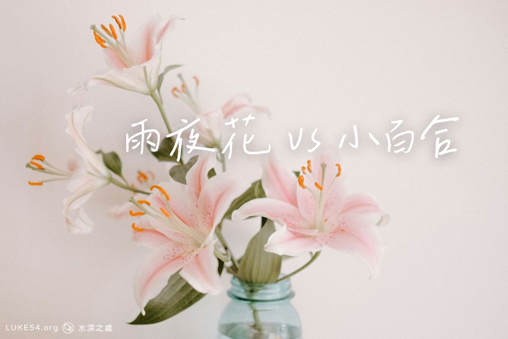 雨夜花 vs 小百合