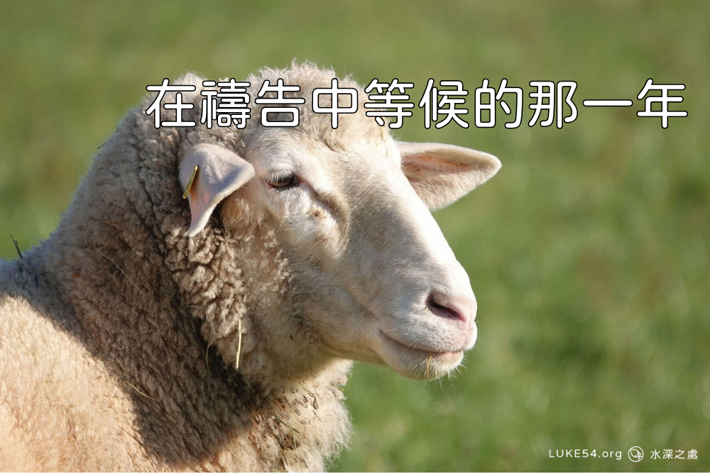 在禱告中等候的那一年