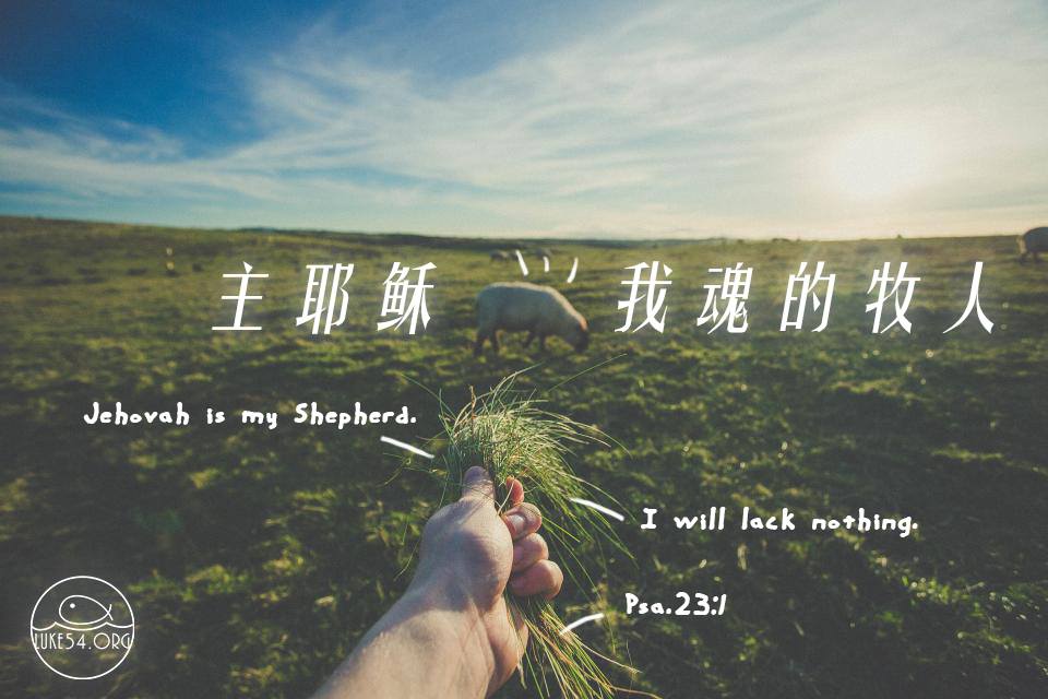 主耶穌！你是我魂的大牧人