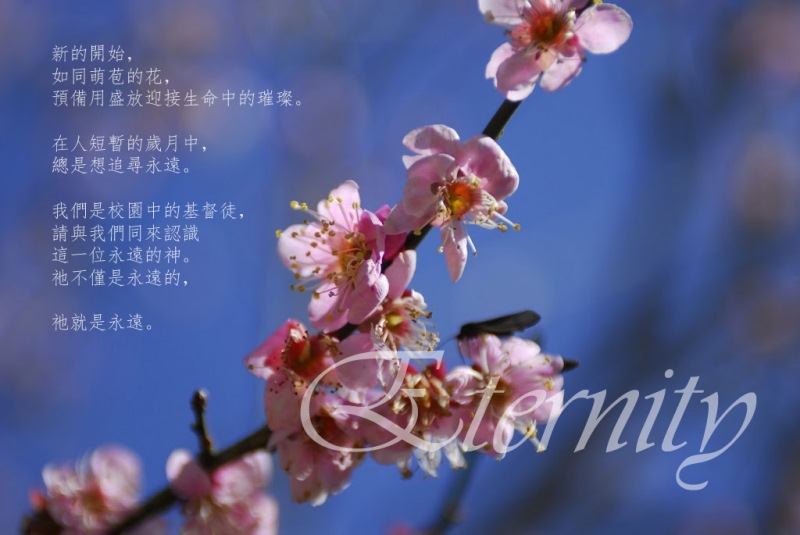 eternity