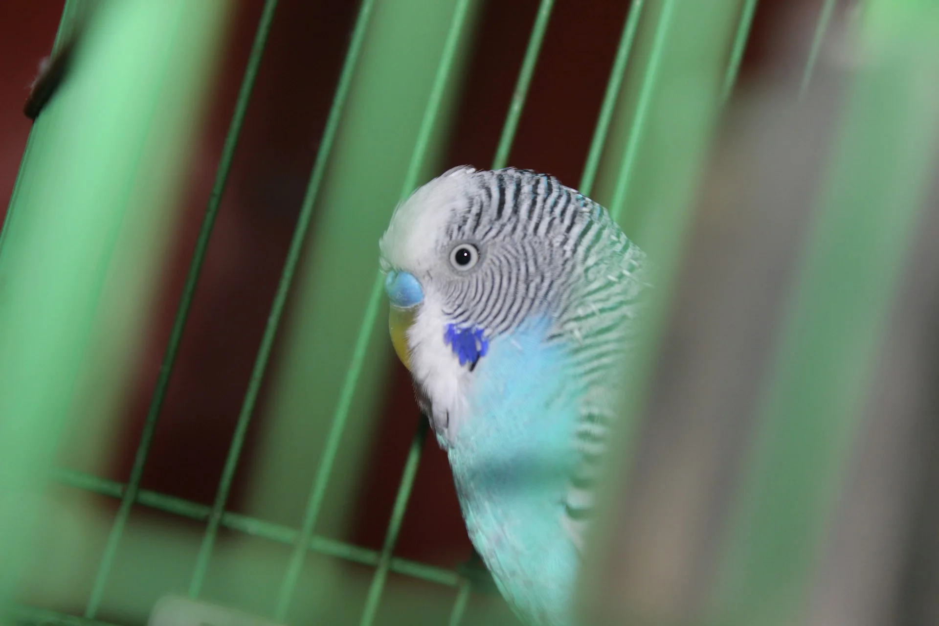 jayesh-borse-ObSTAbsiTgU-unsplash (1).webp