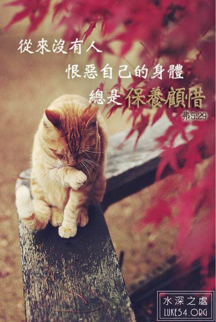 【水深LINE精選】董事長的一封信