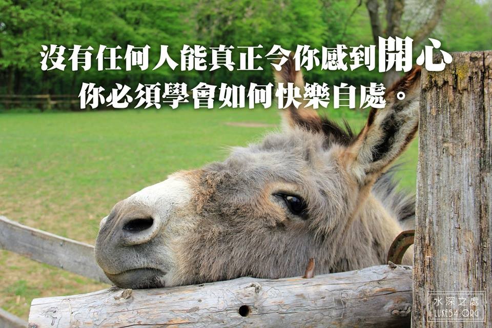 【水深LINE精選】懂得自處