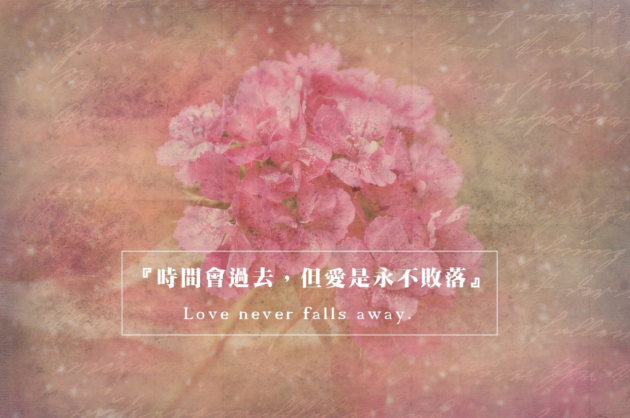 【水深LINE精選】愛是永不敗落
