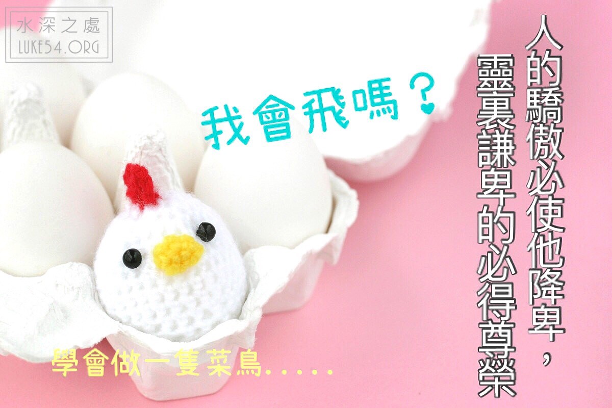 【水深LINE精選】學會做一隻菜鳥,是為了有一天能成為鳳凰