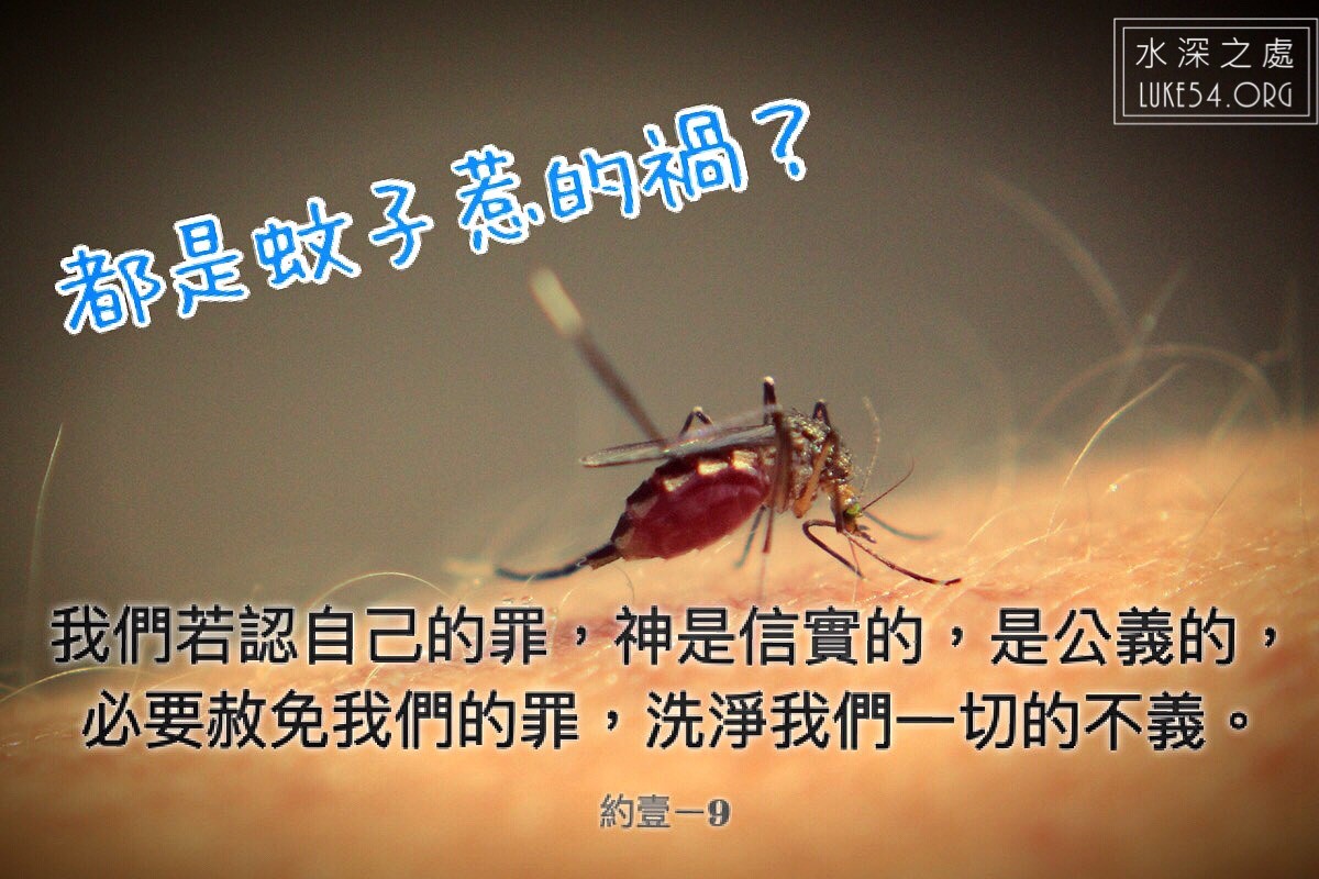 【水深LINE精選】都是蚊子惹的禍?