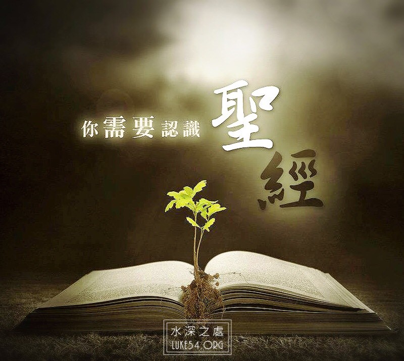 【水深LINE精選】聖經的功用:使我有得救的智慧