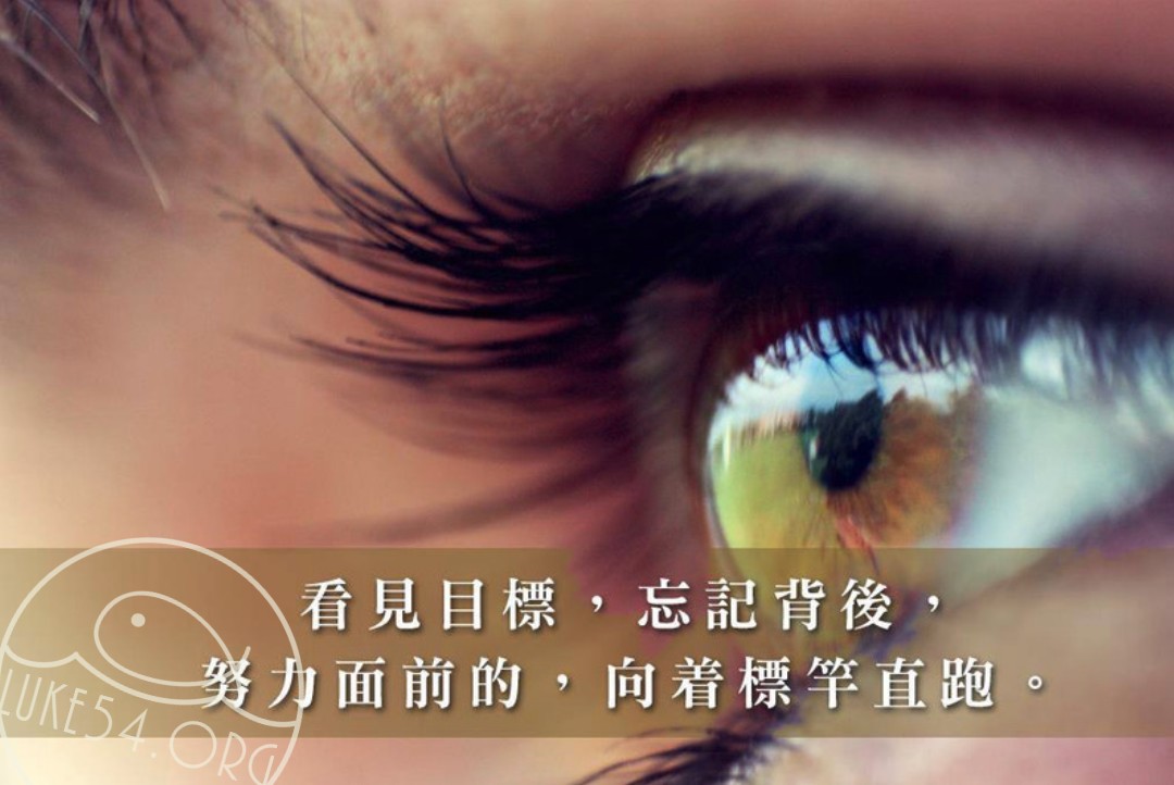 【水深LINE精選】視力 Or 記憶