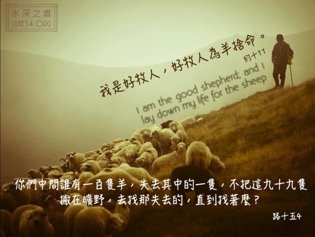 【水深LINE精選】一雙隱密的手