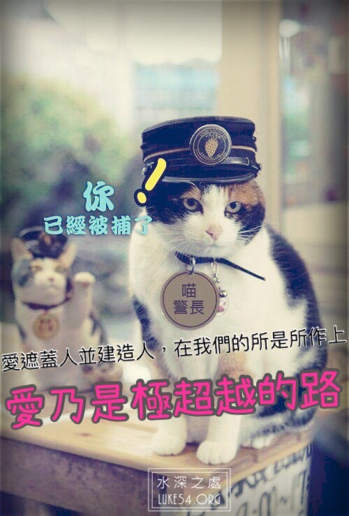 【水深LINE精選】不要讓親情讓步於面子與規則
