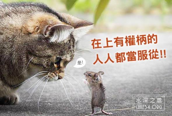【水深LINE精選】喬治·華盛頓的母親