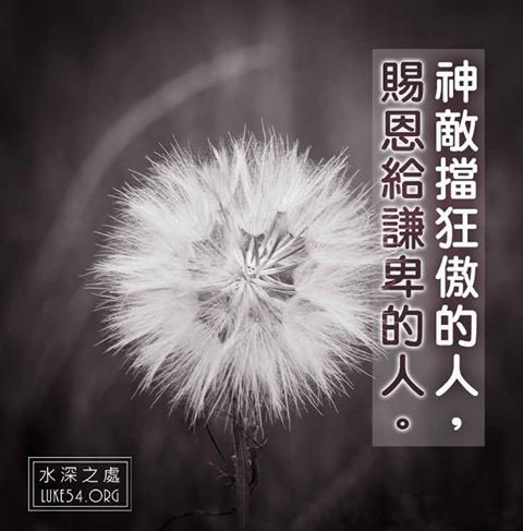 【水深LINE精選】謙卑的人有福了,神必定賜恩給他!