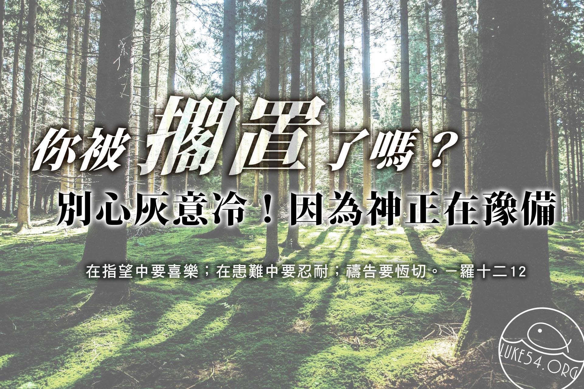 【水深LINE精選】三棵樹