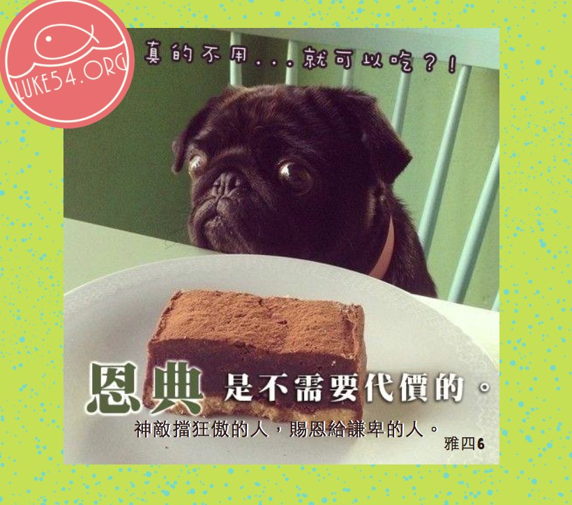 【水深LINE精選】放低姿態,並不是懦弱的表現