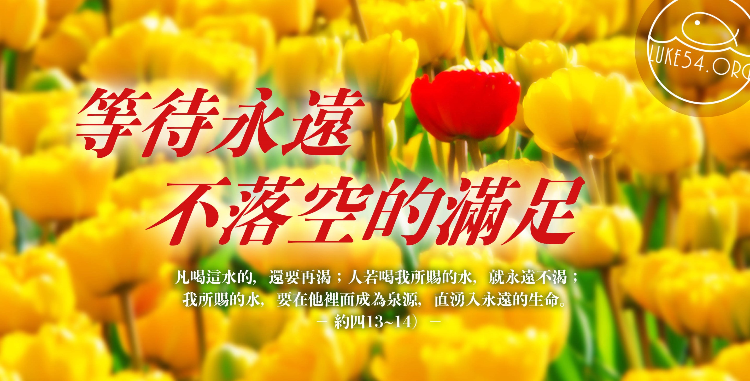 【水深LINE精選】等待下一個春天