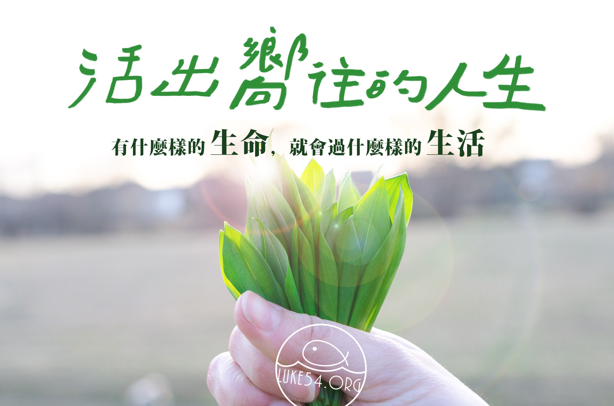 【水深LINE精選】生命的反射