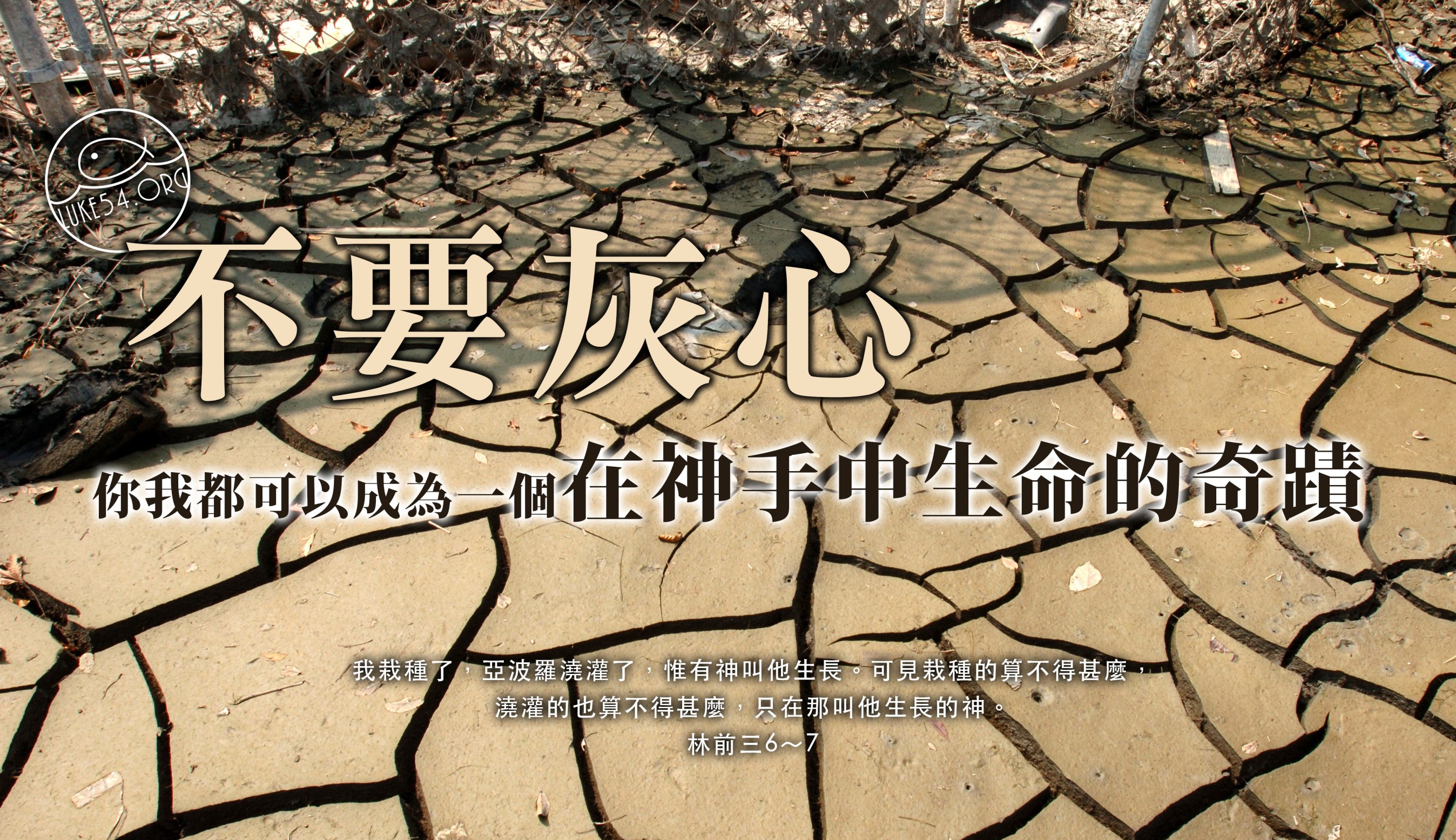 【水深LINE精選】杜茲肺魚的故事
