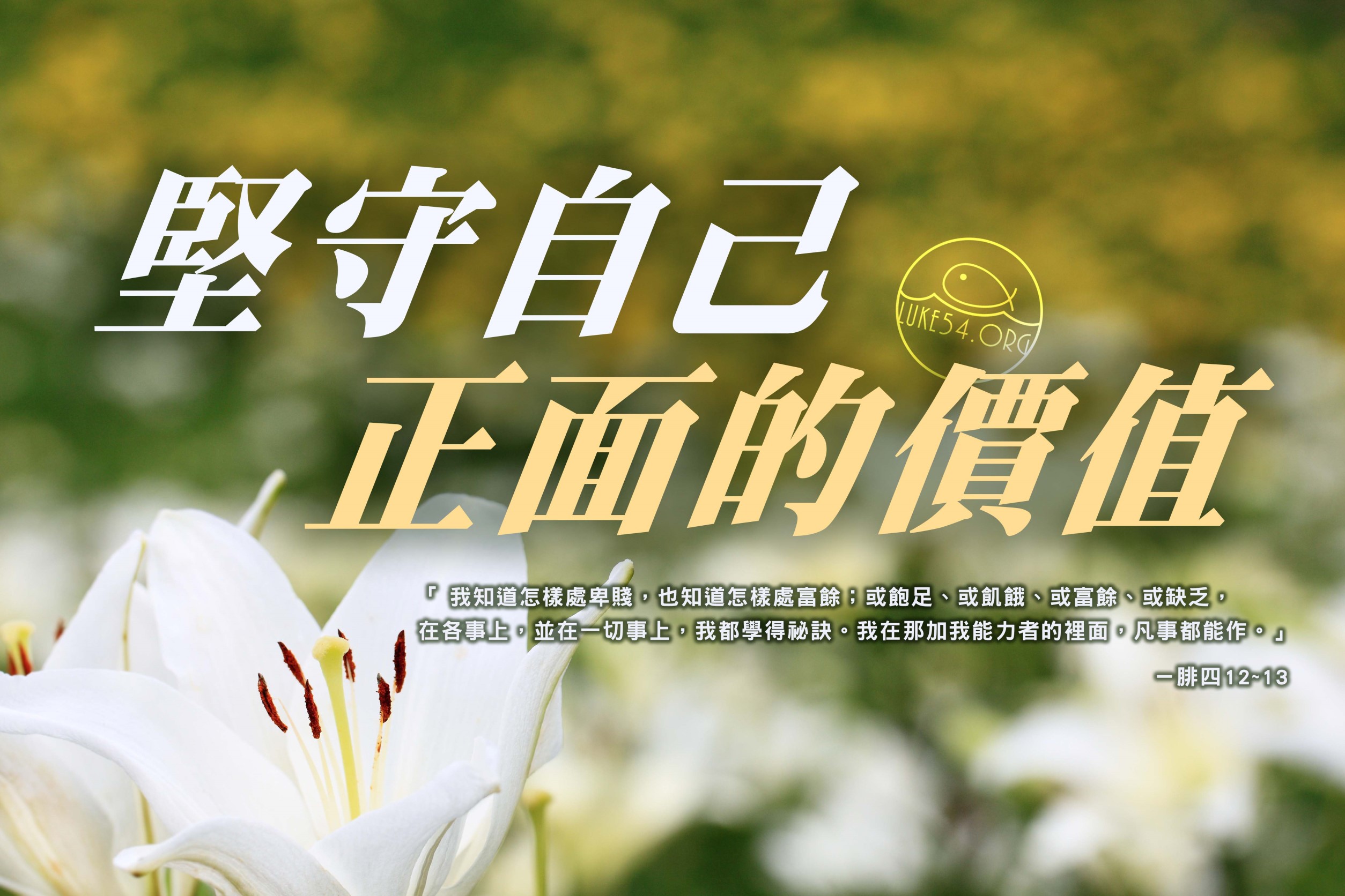 【水深LINE精選】心田上的百合花